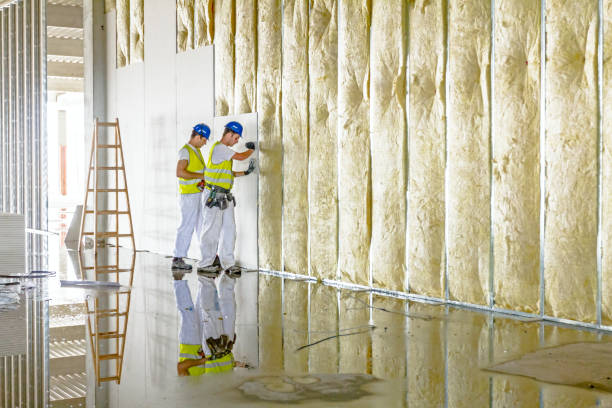 Best Geographic-Specific Insulation Services in Brownstown, PA